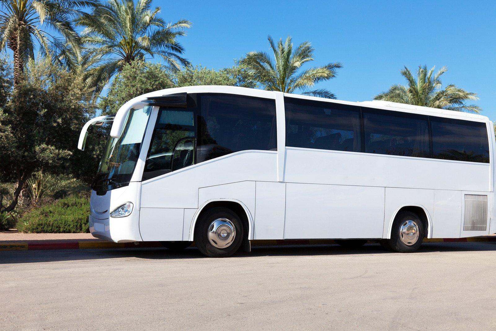 Major Tour Company Case Study